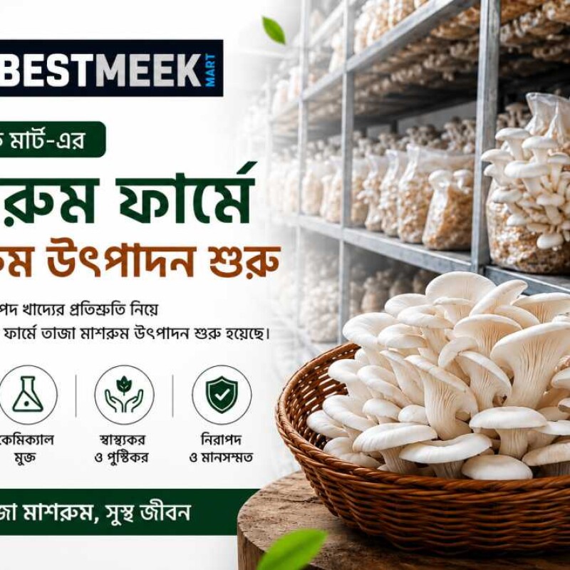 বেস্ট মিক মার্ট-এর মাশরুম ফার্মে মাশরুম উৎপাদন শুরু