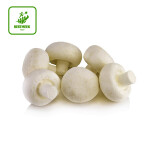 তাজা বোতাম মাশরুম / Fresh Button Mushroom